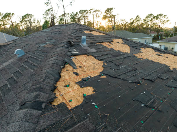 Best Slate Roofing  in West Van Lear, KY